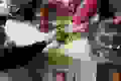 Messenger_creation_62B403D7-A62D-4852-944C-F0D0732441F5
