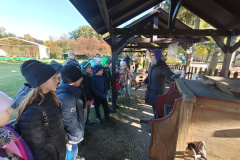 IMG20241016102215