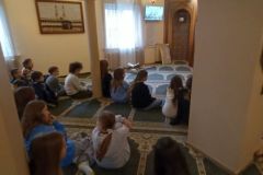 IMG20240131104153