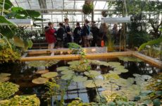 Więcej o: 5b w Ogrodzie Botanicznym