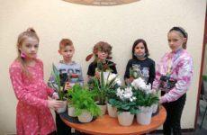 Więcej o: Kwiatki dla Hospicjum Palium