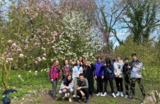Więcej o: OP 8 w Arboretum Kórnickim