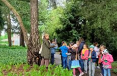 Więcej o: 2a i 2b w Ogrodzie Botanicznym