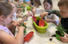 Więcej o: 2a w Ogrodzie Botanicznym