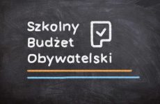 Więcej o: Szkolny Budżet Obywatelski w naszej szkole!