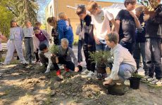 Więcej o: Pasowanie na Młodego Ekologa